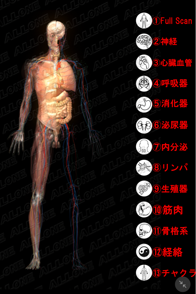 各器官分類